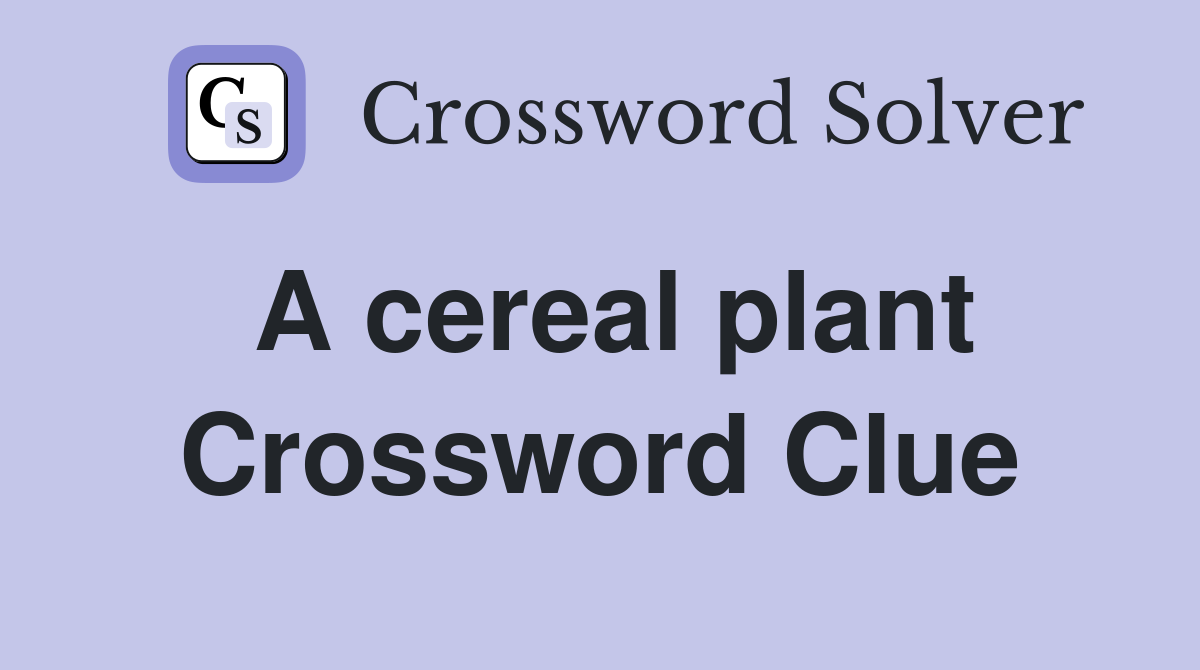 A cereal plant Crossword Clue Answers Crossword Solver